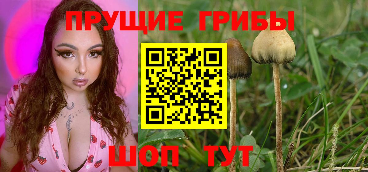 Галлюциногенные грибы MAGIC MUSHROOMS Аргун